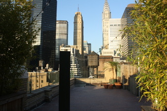 Enlarge photo 51