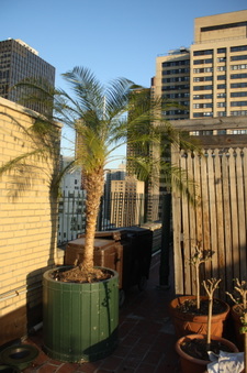 Enlarge photo 54