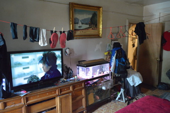 Enlarge photo 41