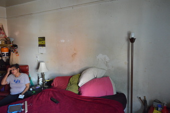 Enlarge photo 43