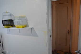 Enlarge photo 23