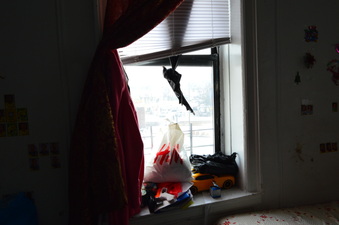 Enlarge photo 68