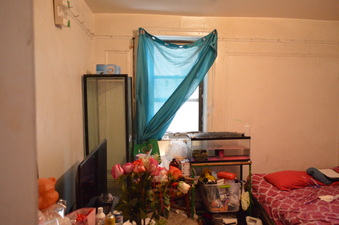 Enlarge photo 48