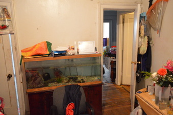 Enlarge photo 55