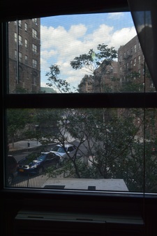 Enlarge photo 58