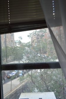 Enlarge photo 59