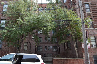 1220 Shakespeare Ave Bronx, NY APT 3A S