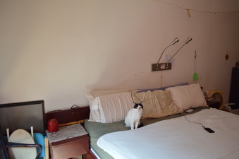 Enlarge photo 24