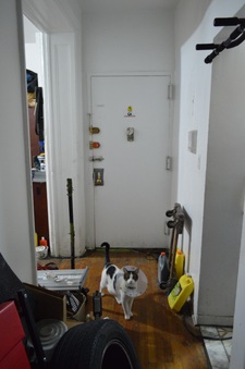 Enlarge photo 19