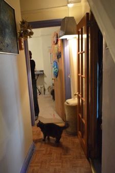 Enlarge photo 41