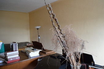 Enlarge photo 10