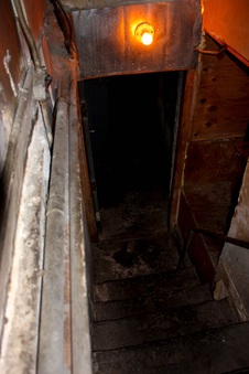 Enlarge photo 53