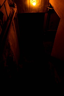 Enlarge photo 54