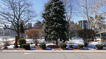 Enlarge photo 13