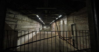 Enlarge photo 54