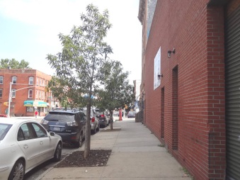 Enlarge photo 39