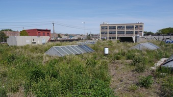 Enlarge photo 21