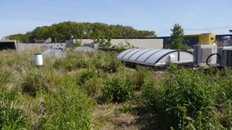 Enlarge photo 23