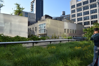 Enlarge photo 44