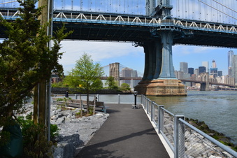 Enlarge photo 37
