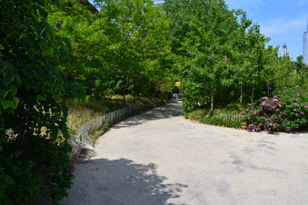 Enlarge photo 15