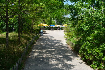 Enlarge photo 16