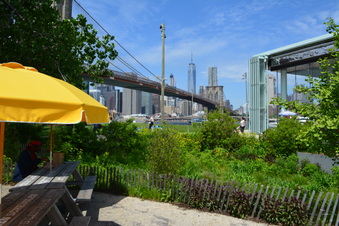 Enlarge photo 26