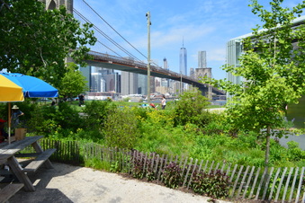 Enlarge photo 27