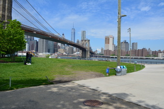 Enlarge photo 35