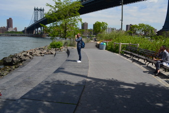 Enlarge photo 22