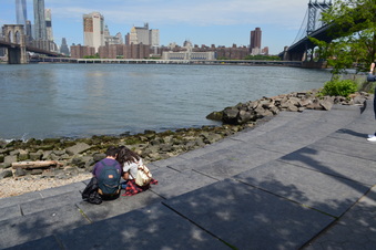 Enlarge photo 23
