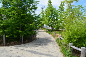 Enlarge photo 2