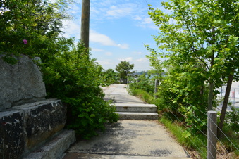 Enlarge photo 3