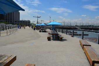 Enlarge photo 22
