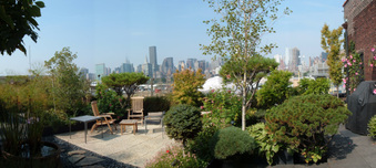 Enlarge photo 55