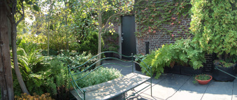 Enlarge photo 53