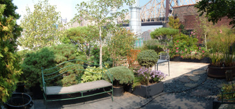 Enlarge photo 52