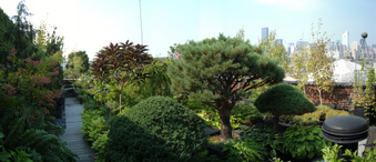 Enlarge photo 51