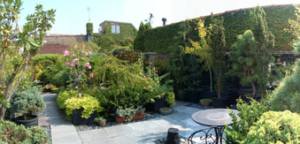 Enlarge photo 49