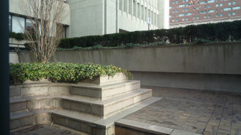 Enlarge photo 37