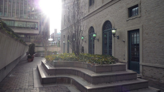 Enlarge photo 44