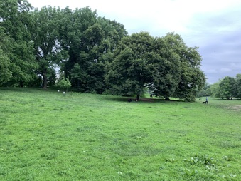 Enlarge photo 75