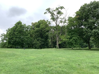 Enlarge photo 27