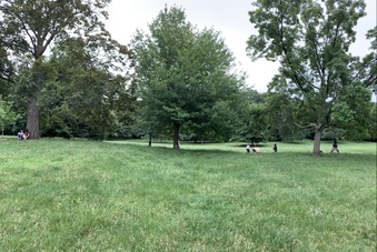 Enlarge photo 49