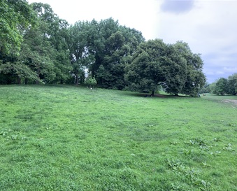Enlarge photo 71