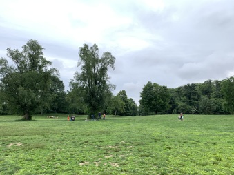 Enlarge photo 33