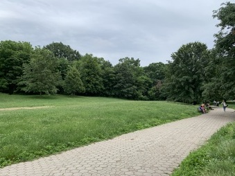 Enlarge photo 41