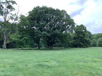 Enlarge photo 28