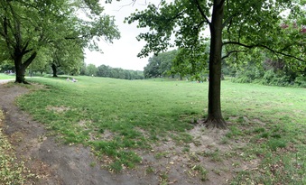 Enlarge photo 67