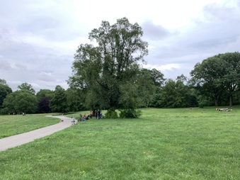 Enlarge photo 22